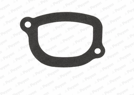 Seal, thermostat (KA5032)