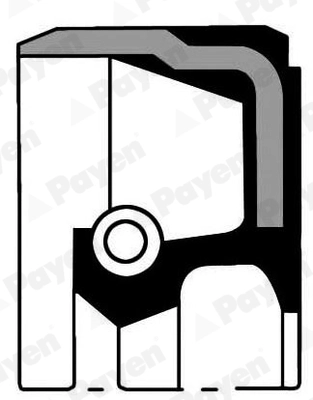 Shaft Seal, crankshaft (NB644)