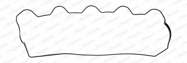 Gasket, cylinder head cover (JP006)
