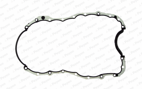 Gasket, oil sump (JH5109)