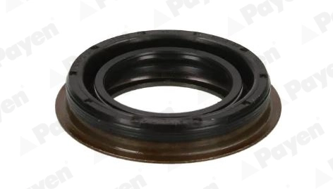Shaft Seal, differential (NA5508)