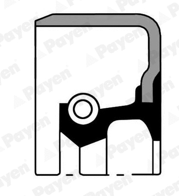 Shaft Seal, wheel hub (NJ825)