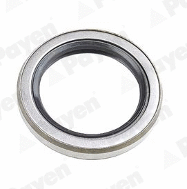 Shaft Seal, wheel hub (NJ127)