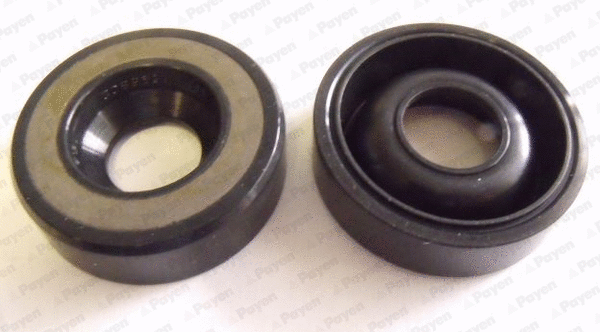 Seal Ring, injector (NB077)