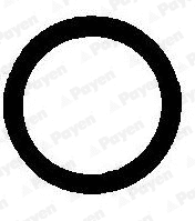 Gasket, exhaust pipe (JE012)