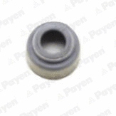 Seal Ring, valve stem (PA606)