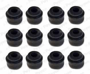 Seal Set, valve stem (HR5096)