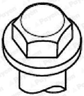 Cylinder Head Bolt Set (HBS052)