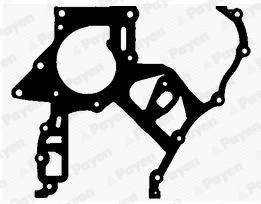 Gasket, timing case (JR5029)