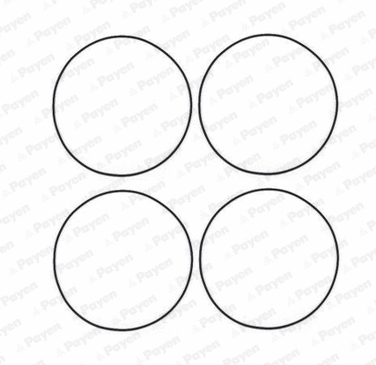 O-Ring Set, cylinder sleeve (HR566)