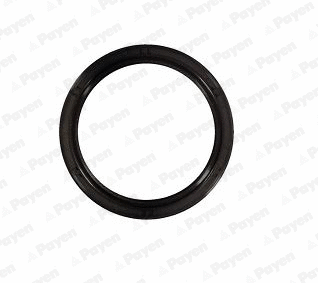 Shaft Seal, crankshaft (NA5492)