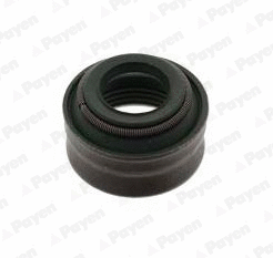 Seal Ring, valve stem (PA6101)