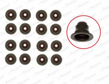 Seal Set, valve stem (HR5095)