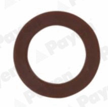 Seal Ring, oil drain plug (KG5313)