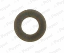 Seal Ring, valve stem (PA229)