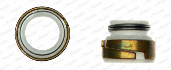 Seal Set, valve stem (HR300)
