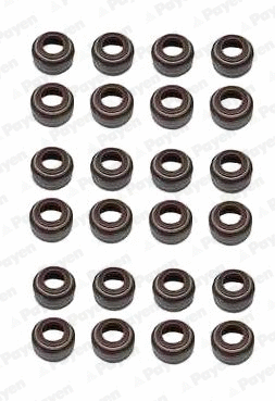 Seal Set, valve stem (HR5055)