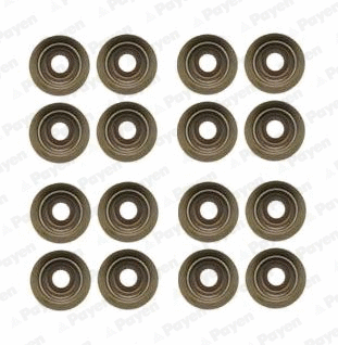Seal Set, valve stem (HR5046)