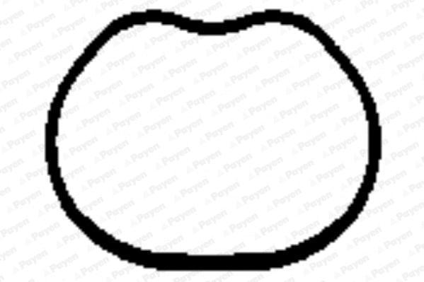 Gasket, intake manifold (JD5866)