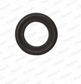 Seal Ring, oil drain plug (LA5238)