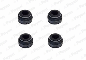 Seal Set, valve stem (HR641)