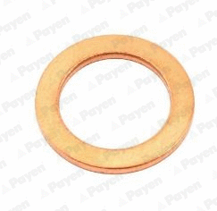 Seal Ring, oil drain plug (KJ779)