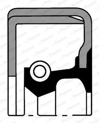 Shaft Seal, crankshaft (NK139)