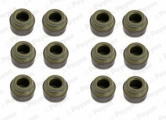 Seal Set, valve stem (HR805)