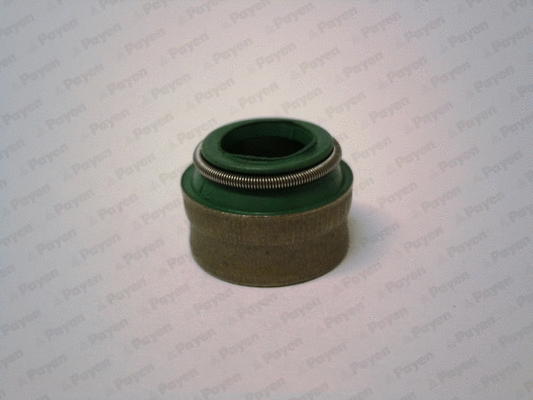 Seal Ring, valve stem (PB394)