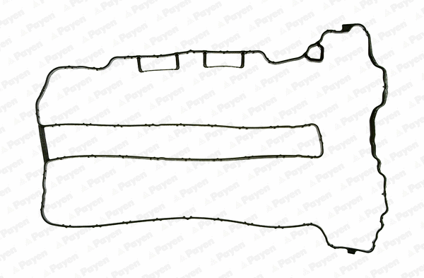 Gasket, cylinder head cover (JM5071)