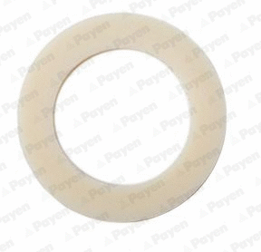 Seal Ring, oil drain plug (KG5144)