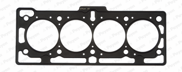 Gasket, cylinder head (AH5170)