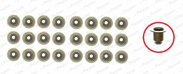 Seal Set, valve stem (HR5111)