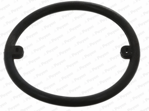 Seal Ring, oil cooler (KK5686)