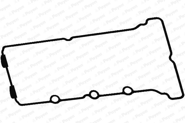 Gasket, cylinder head cover (JM5312)