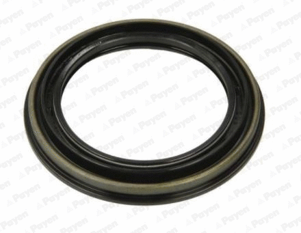 Shaft Seal, wheel hub (NK212)