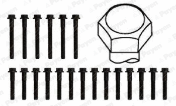 Cylinder Head Bolt Set