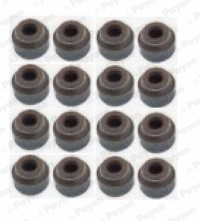 Seal Set, valve stem (HR5076)