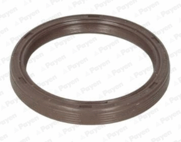 Shaft Seal, camshaft (NA5310)