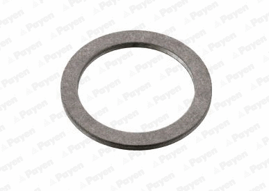 Seal Ring, oil drain plug (KG5370)