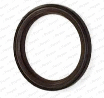 Shaft Seal, camshaft (NA5317)