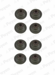 Seal Set, valve stem (HR661)