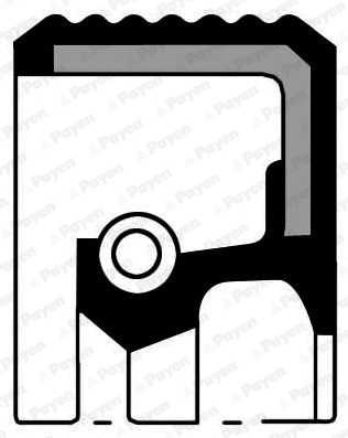 Shaft Seal, crankshaft (NA5363)