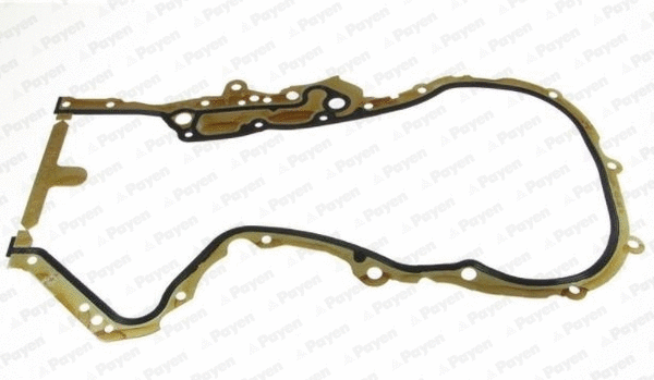 Gasket, timing case (JR5048)