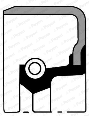 Shaft Seal, crankshaft (NB979)