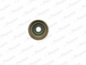 Seal Ring, valve stem (PA6095)
