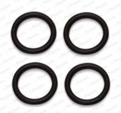 Gasket Set, intake manifold (HA5029)