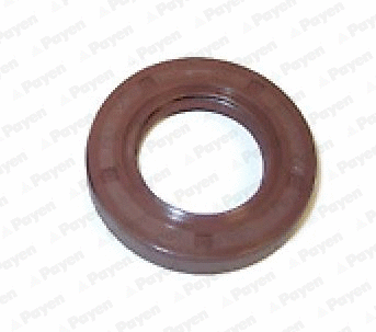Shaft Seal, camshaft (NA5318)
