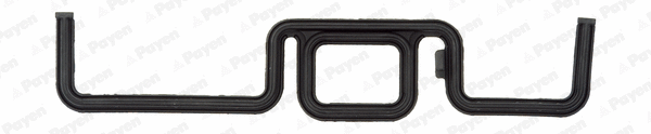 Gasket, timing case (JR5031)