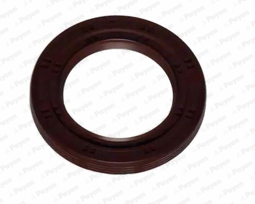 Shaft Seal, crankshaft (NA5332)